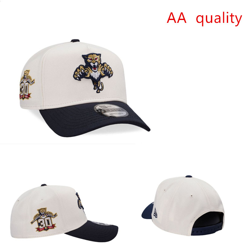 2026 New Hat ed2681271009->nfl hats->Sports Caps